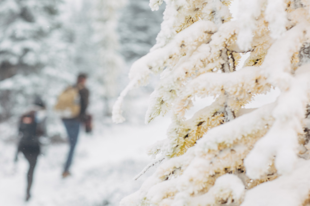 Katie-Day-Photos-Maple-Pass-19